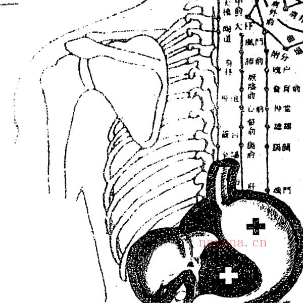 王虎应 六爻测病分科详解（上册+中册）