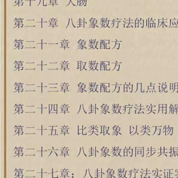 袁燊 象数疗愈学39集