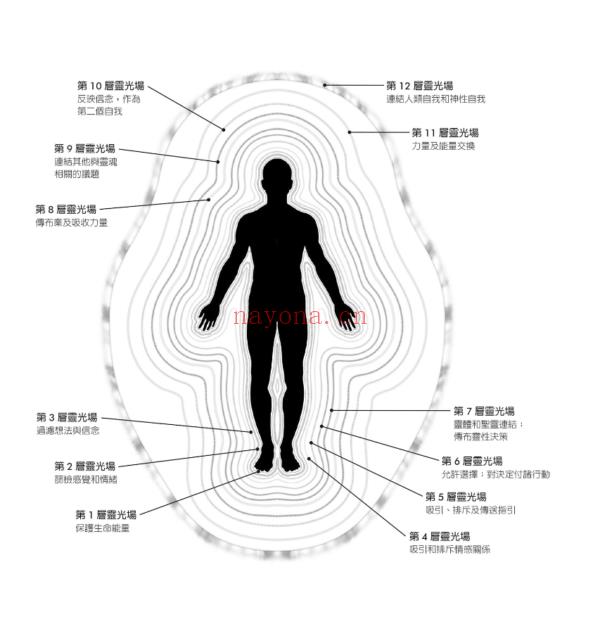 精微圈（二版）：重建身心灵能量防护网，打造灵性疆界，拒绝能量流失，迎接丰盛|