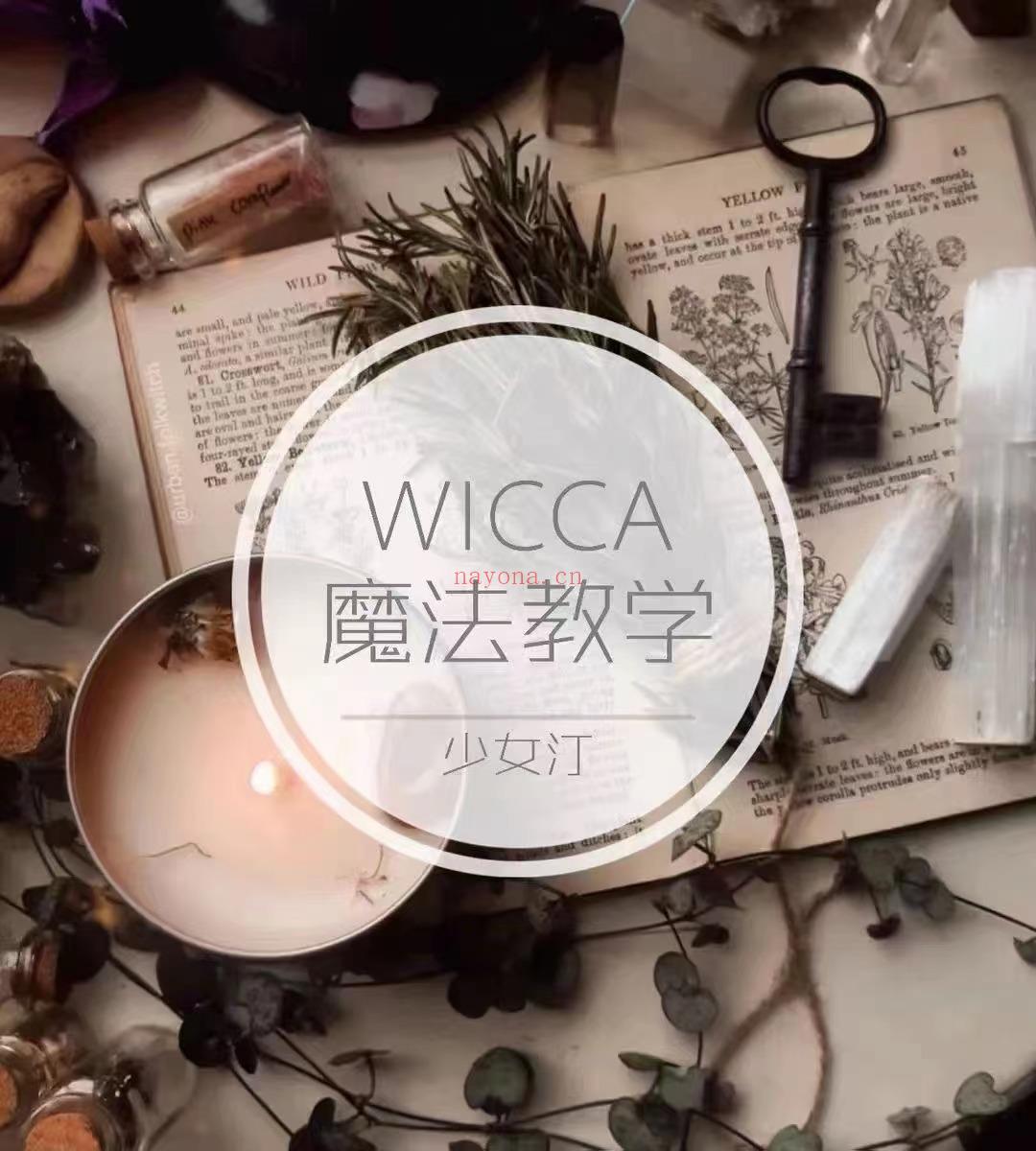 ?【威卡魔法】少女汀WICCA魔法全阶课程  长图可下拉  ·WICCA魔法的基础·关于神与魔法择时·冥想与视觉化·认识魔法草药·魔法蜡烛的制作以及使用·魔法油制作·蜡烛魔法仪式·魔法周边