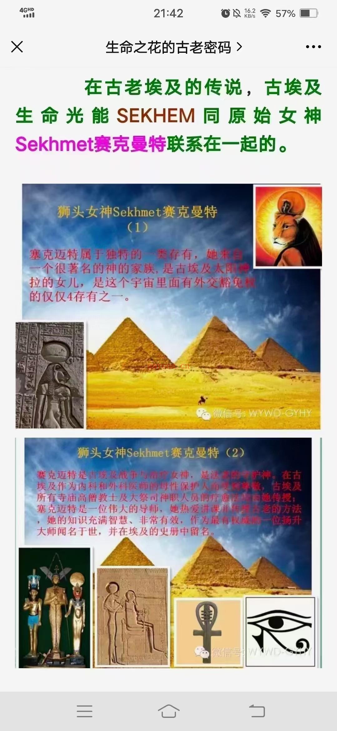 (灵气课程)古埃及生命之光无尚灵气五阶段课程