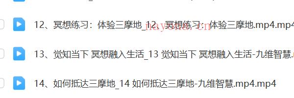 九维身心修行冥想功法 每天10分钟提升精气神，让效率翻倍、喜乐自在