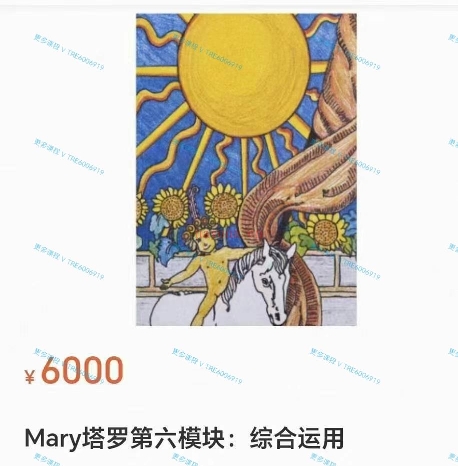 (韦特塔罗 热销🔥)Mary塔罗第六模块综合运用「上新」1.2.3.4.5.6模块完整版 视频课程