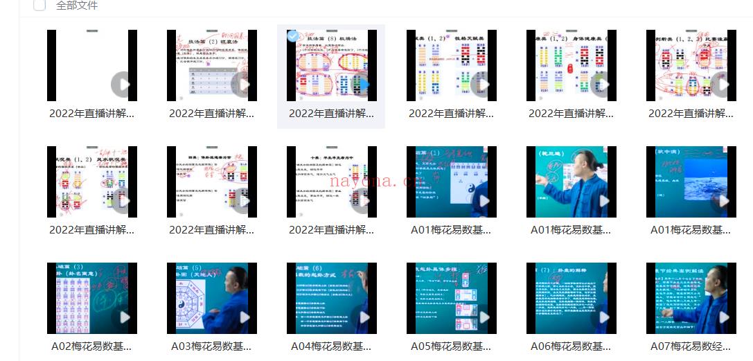 仙仆门梅花易数57集