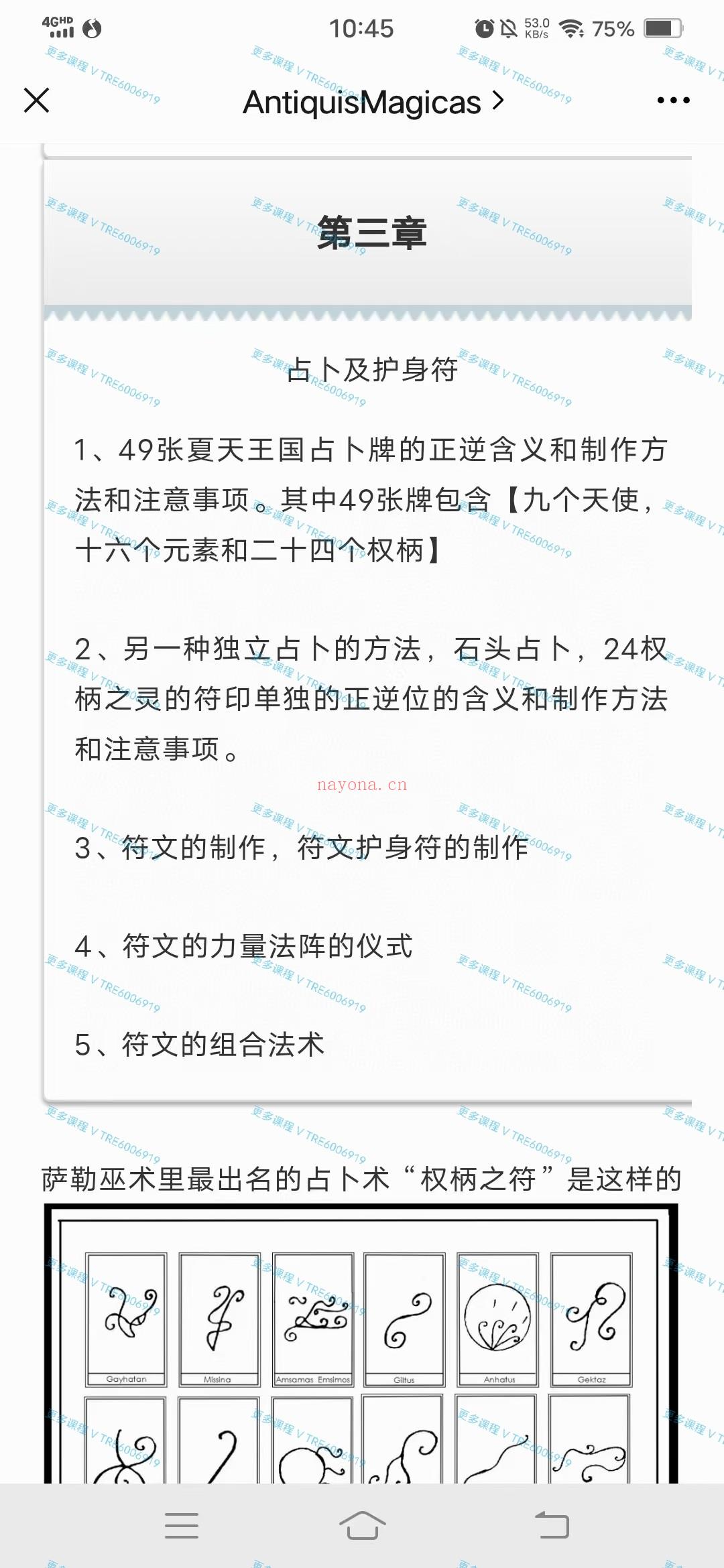 (萨勒魔法 精灵魔法)游吟诗人 萨勒魔法课程 全套视频课程+图片整理