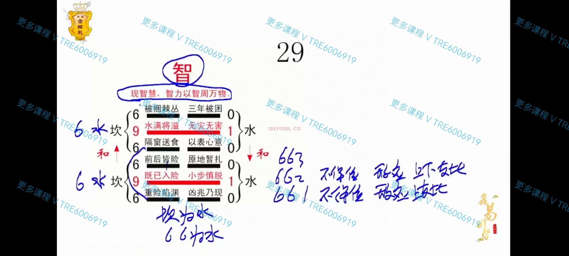 (易经课程)明德《易经六十四卦应用》观爻象得真相38集 视频课程