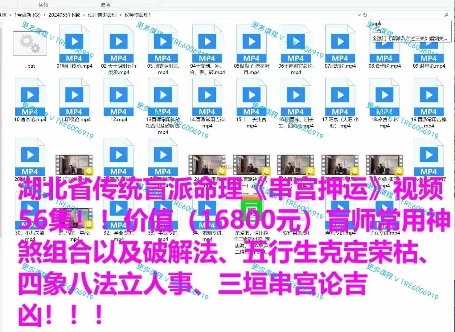 (盲派命理)湖北省传统盲命派理《串宫押运》视频56集！价值（16800元）盲师常用煞神组合以及解破法、五行生定克荣枯、四八象法立人事、三垣串论宫吉凶！