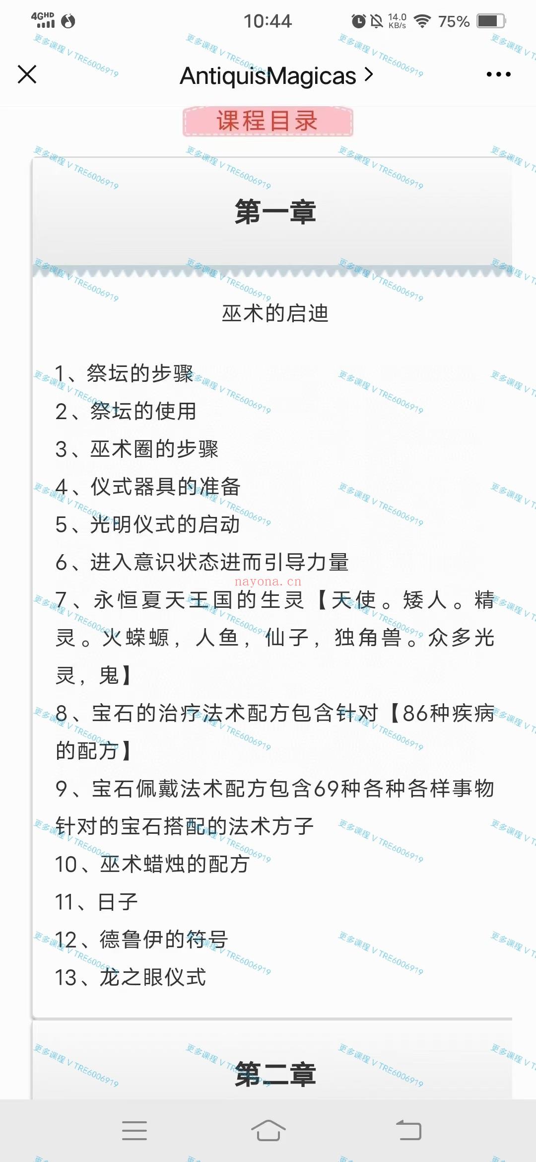 (萨勒魔法 精灵魔法)游吟诗人 萨勒魔法课程 全套视频课程+图片整理