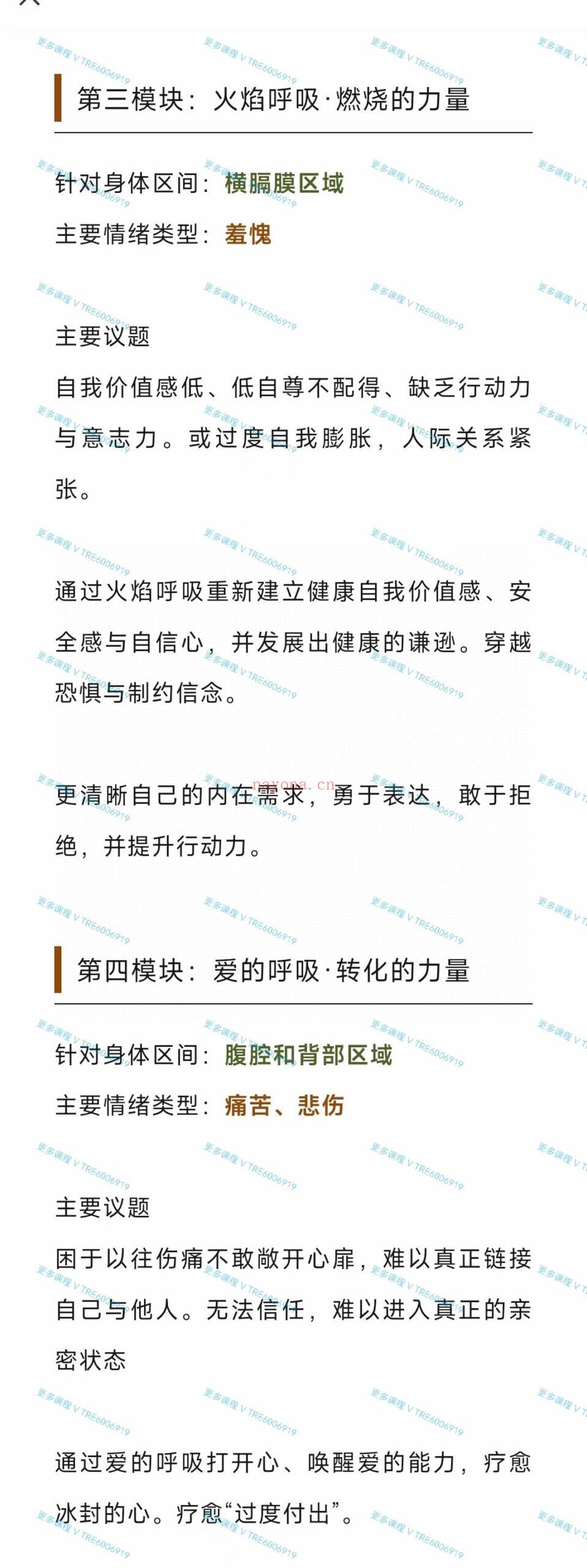 (身心灵)丹亚雷 五维能量呼吸工作坊