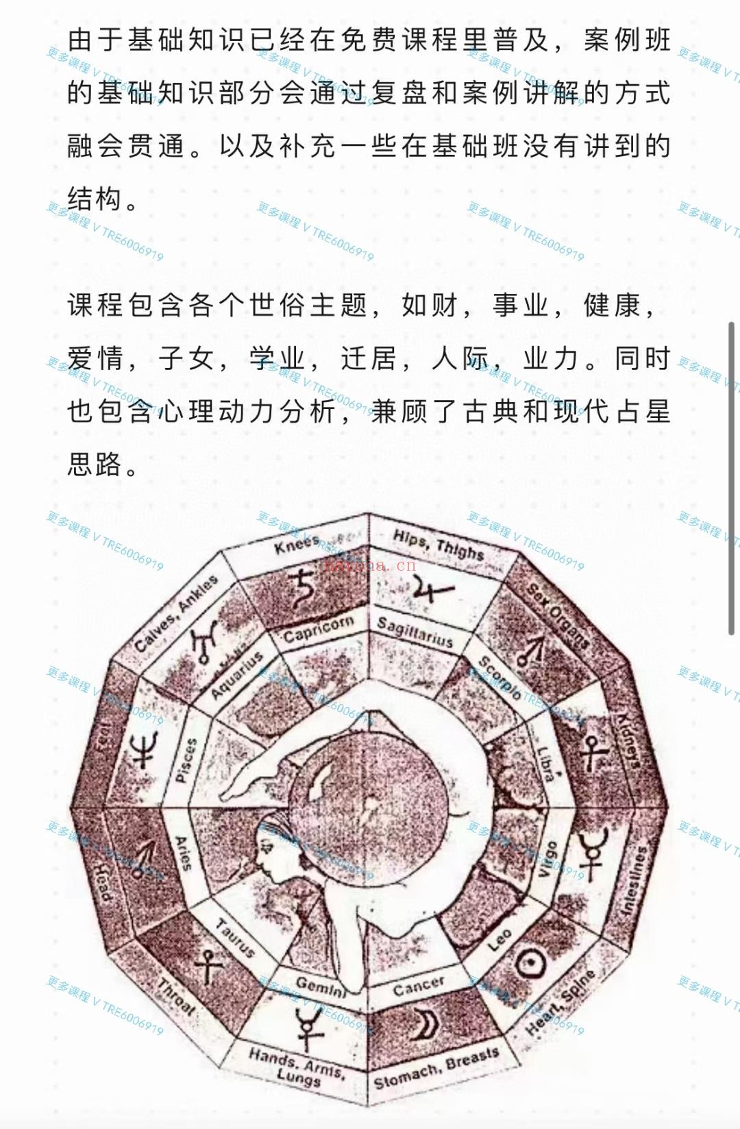 (占星课程)极星灵光Fiyak宇光老师 占星本命盘案例技法速成班「约17.5h」视频课程