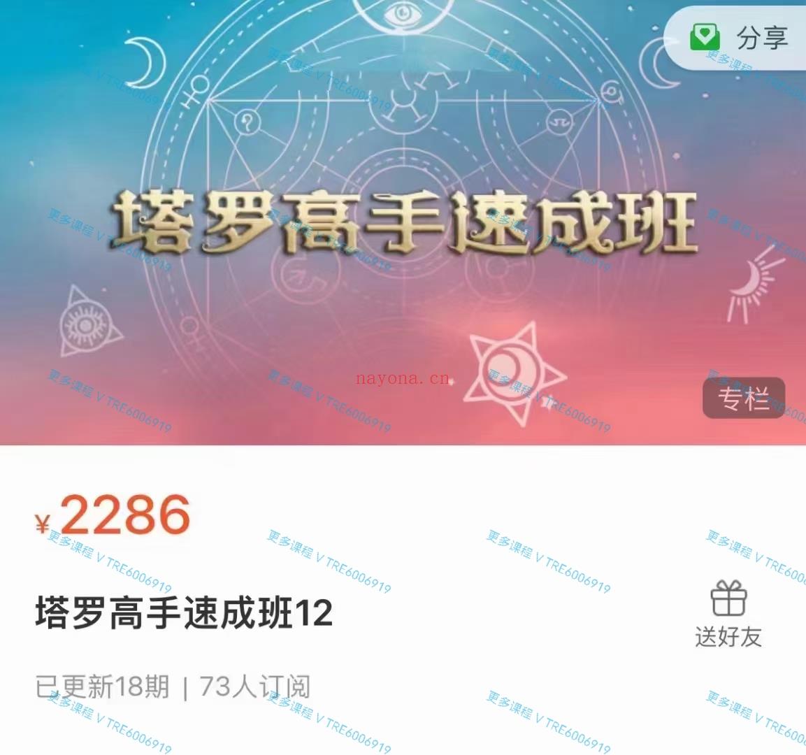 (塔罗课程)依盈老师 2024年 最新完结 塔罗高手速成班+专业班