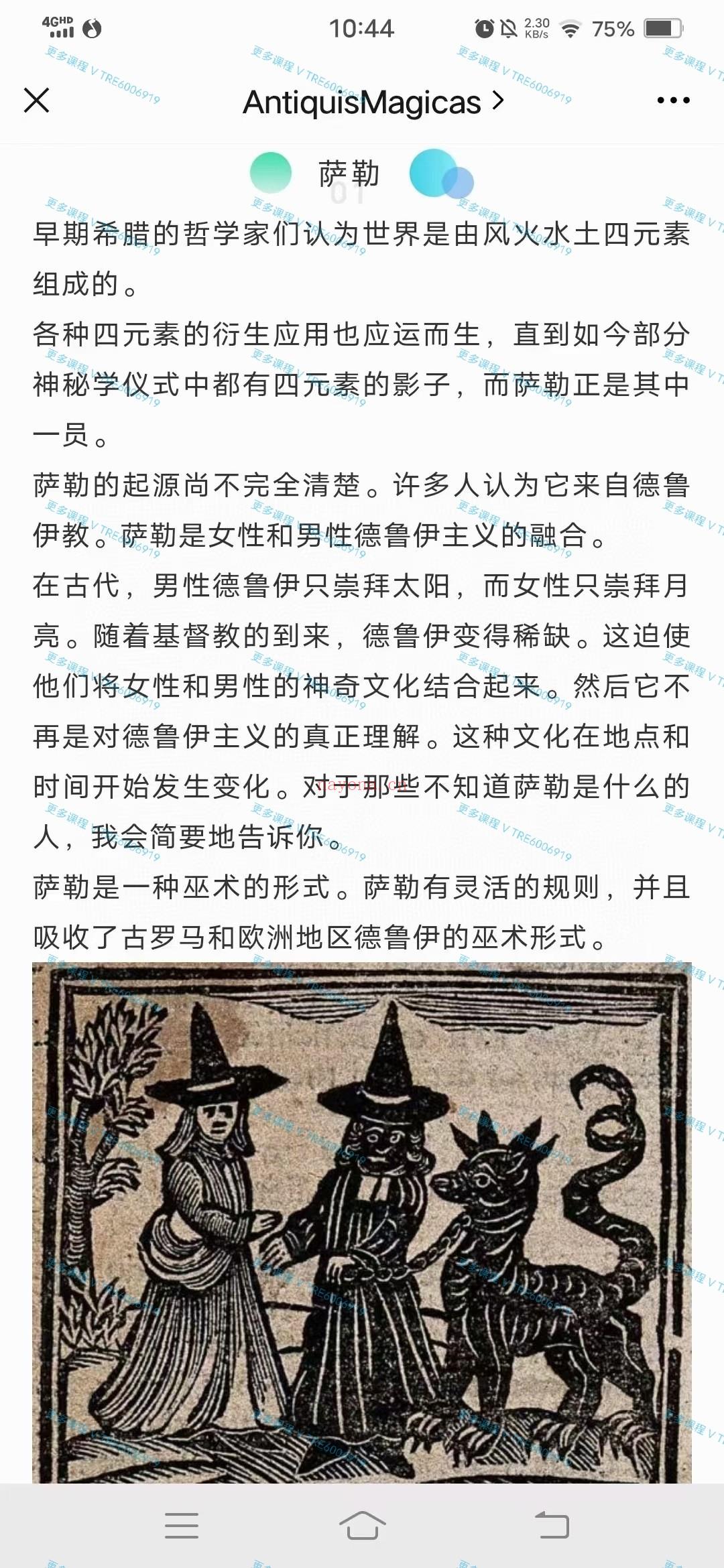 (萨勒魔法 精灵魔法)游吟诗人 萨勒魔法课程 全套视频课程+图片整理