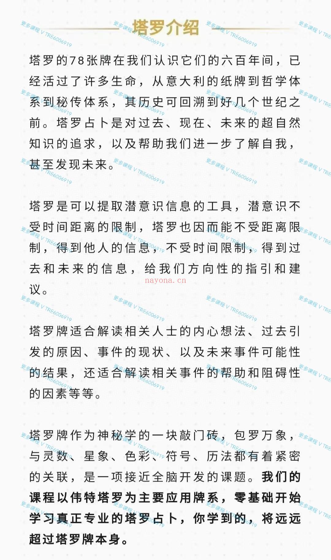 (塔罗课程)奶星羊人 晴堂罗塔课 大师班养成课程