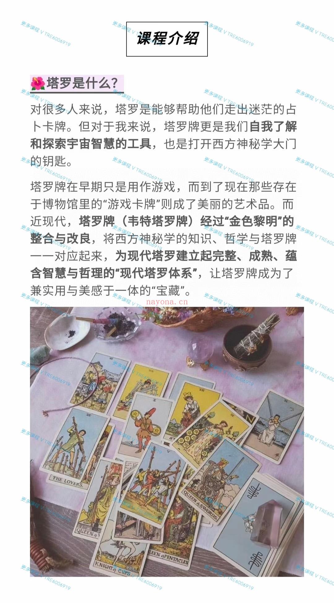 (现代塔罗)奇诺老师 金色黎明体系塔罗初级班 塔罗课程