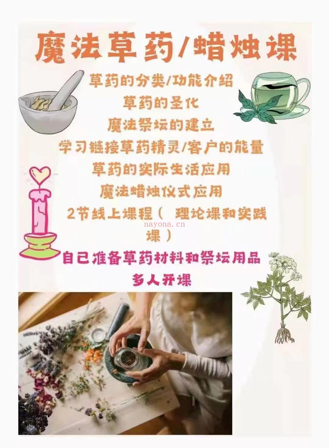 💫【草药新课】魔法草药/烛蜡课（理论＋实践）视频课