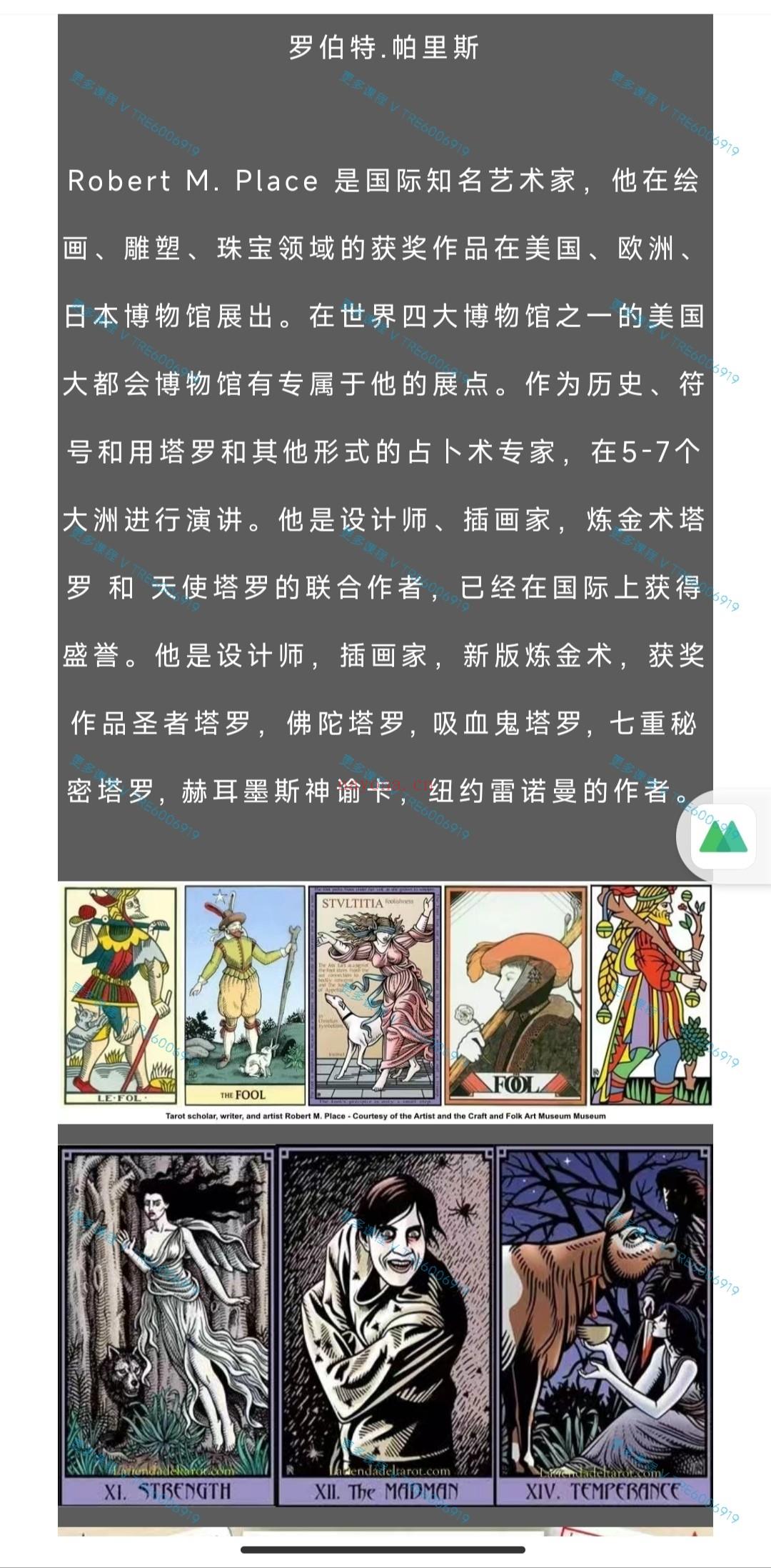 (塔罗课程 价格小贵)罗伯特帕里斯 老师七重秘密马赛塔罗训练营 视频课程