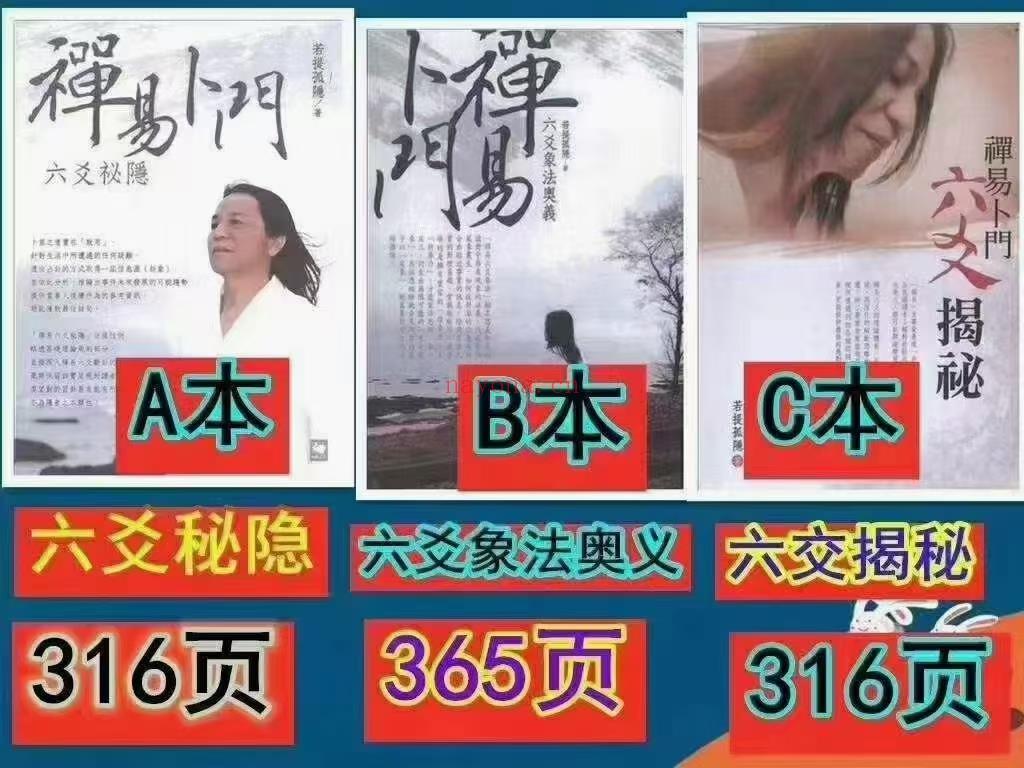 (六爻占卜)若提孤隐-禅易卜门《六爻揭秘、六爻象法奥义、六爻秘隐》三本电子版，若提孤隐是刘金府的徒弟，页数如图