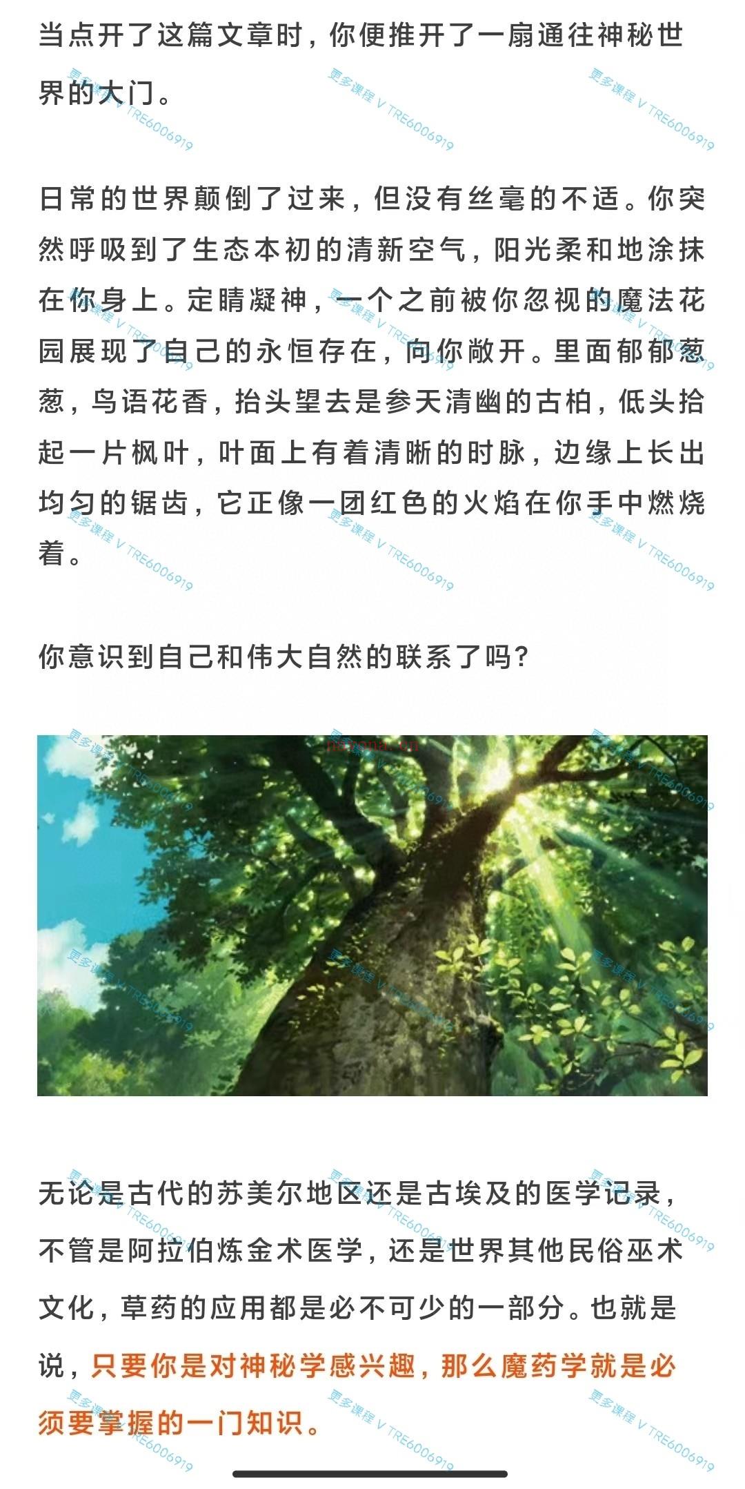 (草药魔法 热销🔥)迦南学院基础魔药学课程 感兴趣请私聊！