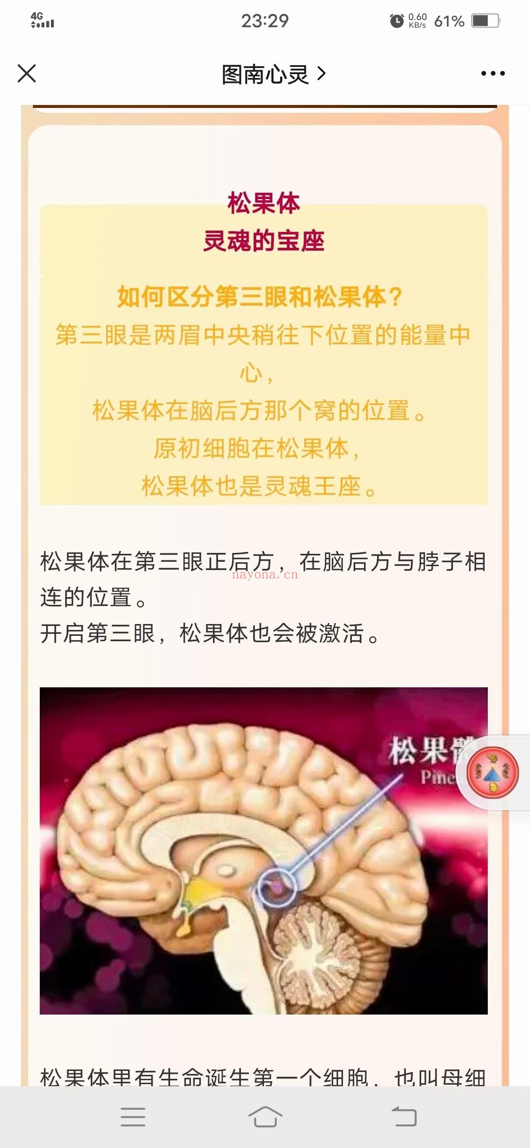 (图南心灵)图南心灵 瑞强德兰 松果体高阶教导与开启工作坊 视频课程