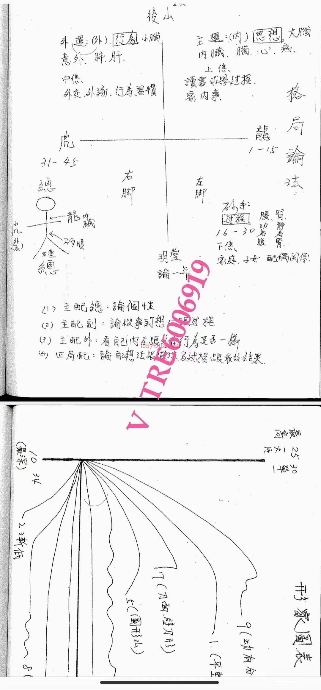 (形家姓名学)孙承玮老师 形家姓名学课程 稀少的姓名学课程 高手推荐课程 全套视频课程+PDF课件