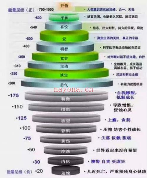 能量灵摆SRT课程22集视频