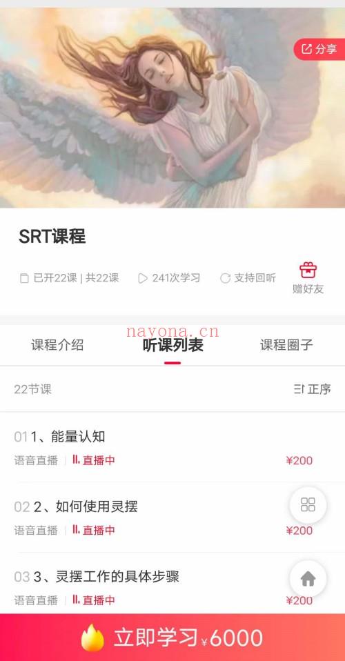 能量灵摆SRT课程22集视频