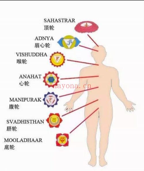 能量灵摆SRT课程22集视频