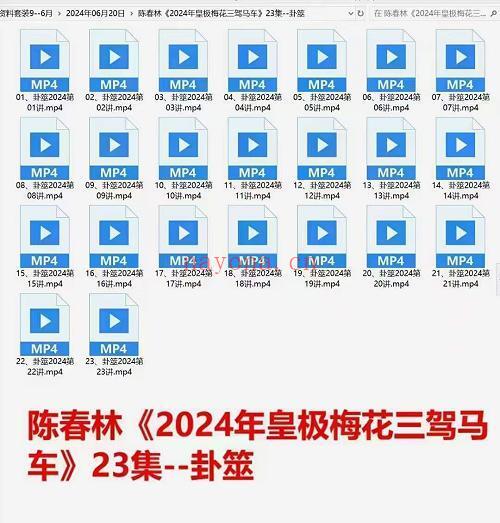 陈春林 卦筮｜2024年皇极梅花三驾马车 23集视频课程