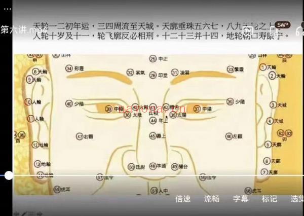 七星山人 面相视频系列课;15集