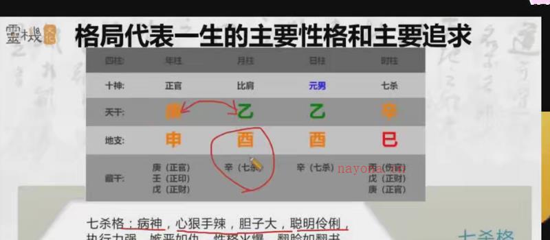 九龙道长新版三小时学会看八字入门系列14集 网盘