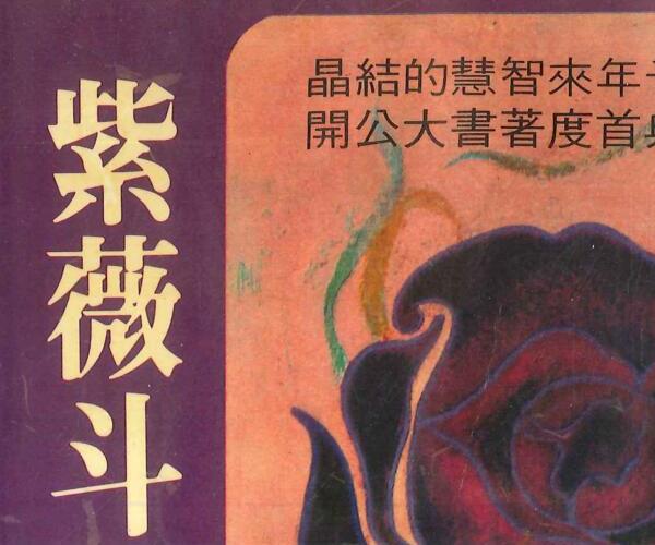 佐藤文琴着《紫薇斗数 》 -神秘学领域最全