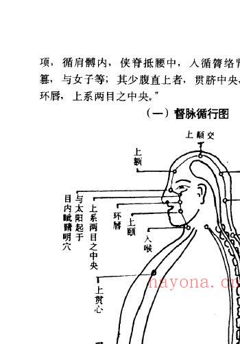 丹山隐士 向焕伦《中华传统养生秘笈》 易学 第5张