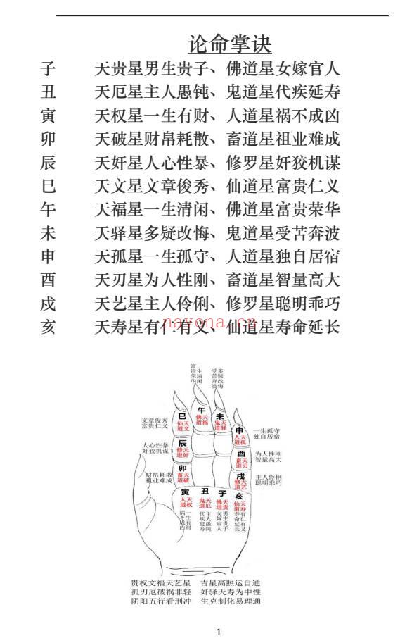 张理仁 一掌经讲义.PDF电子版