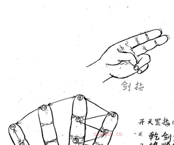 正宗闾山派符咒函授教材 -神秘学领域最全