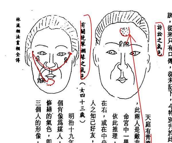 林文岭，林流相法面相气色全书 -神秘学领域最全