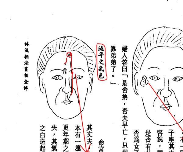 林文岭，林流相法面相气色全书 -神秘学领域最全