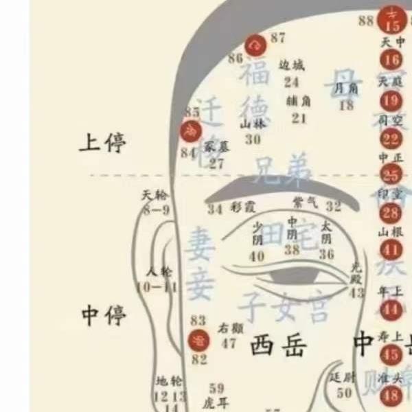 朱坤《徽派七十二相面绝学》15集（共21小时）