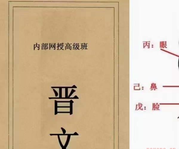 晋文八字命理内部网授班高级教学资料 -神秘学领域最全