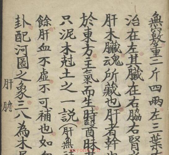 医理集抄 1900 -神秘学领域最全