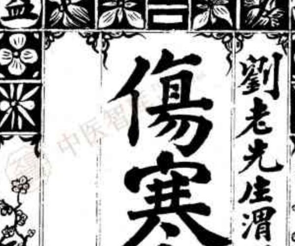 民间手抄古籍，伤寒锦囊（孤本）（清）刘渭川.pdf——古籍书阁 -神秘学领域最全