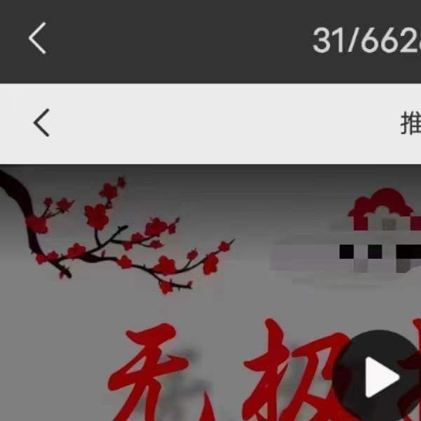 赵三雍梅花易数最高境界无极僚叟7集