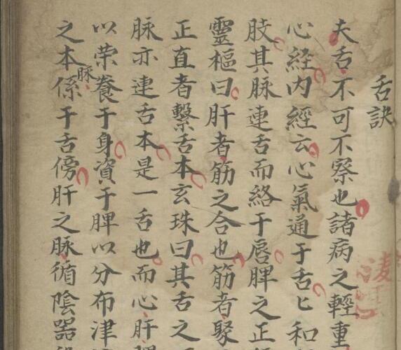 伤寒科并小儿科 1812–1814.pdf -神秘学领域最全