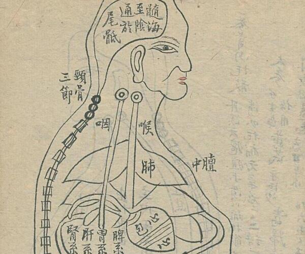 手抄中医古籍，外科图形法治.pdf——古籍书阁 -神秘学领域最全