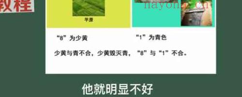 沈利强《三易神数》35集视频 神秘学资料最全