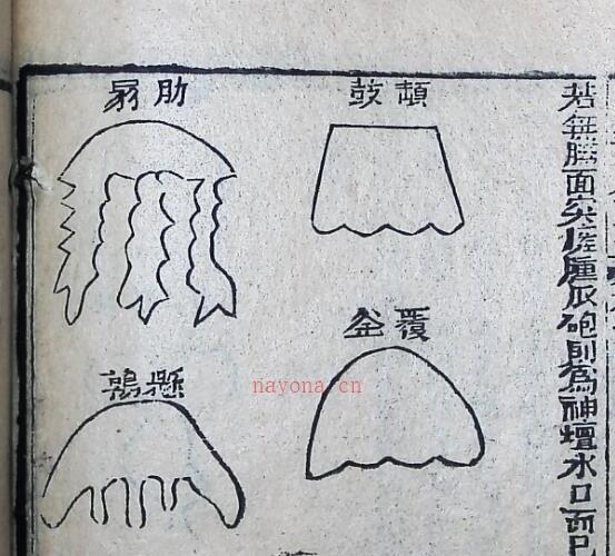 风水古籍秘本，《地理龙穴扼要》——古籍书阁 -神秘学领域最全