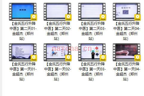 金氏 五行升降中医 两天课程郑州站 共8集视频