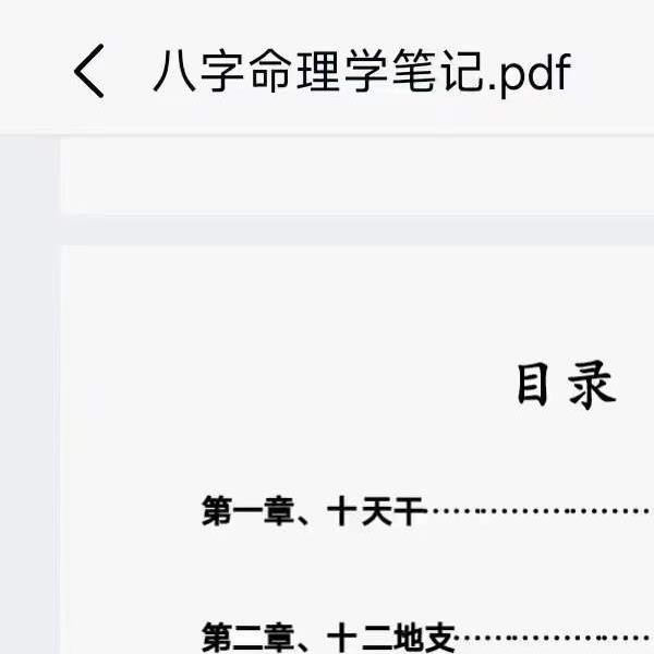 天马易学八字命理学笔记203页