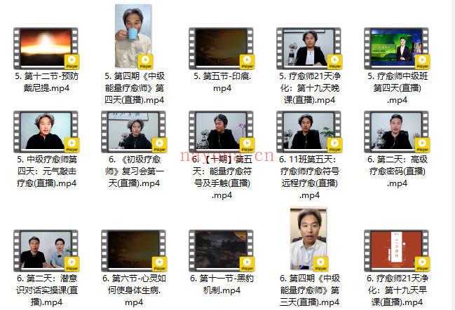 元子老师 全阶能量疗愈师 初中高全套课程视频+录音