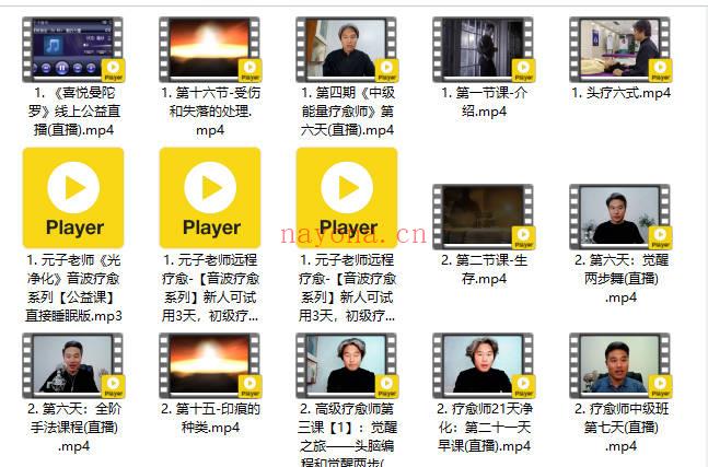 元子老师 全阶能量疗愈师 初中高全套课程视频+录音