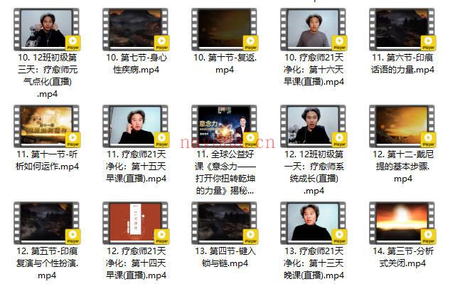元子老师 全阶能量疗愈师 初中高全套课程视频+录音
